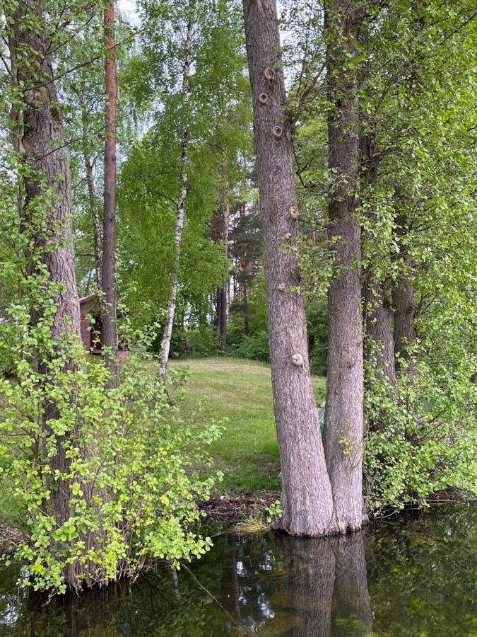 Apartament Comfort W Kujankach Nad Jeziorem Kujanki  外观 照片